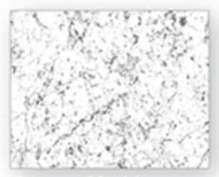 Carrara Marble