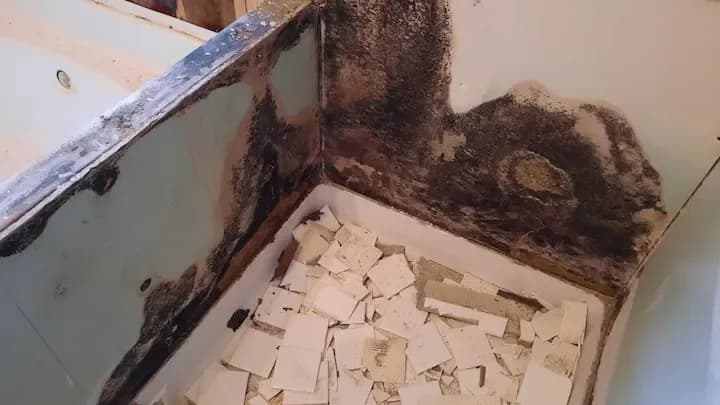 Rot-Tub-and-shower-damage