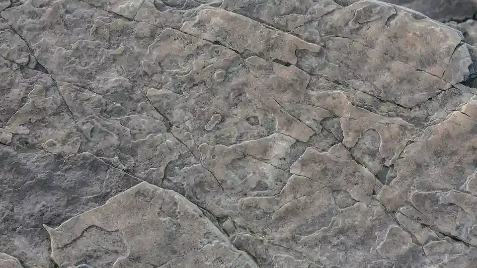 Stone